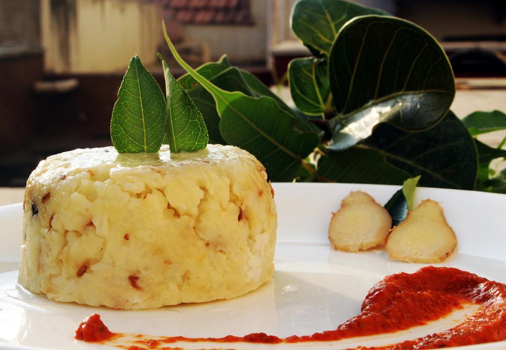 Hm Suites & Studios Bengaluru Kültér fotó